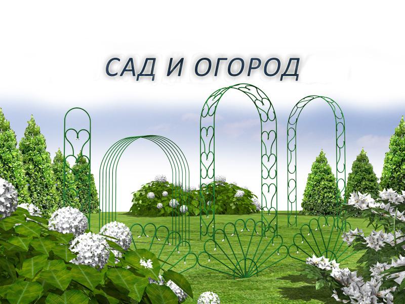 ���� �� 07.08. ���������� ��� ������� ������ - ������� ������: �������, ����, ���������, ����� ���**������ - ��������� �������� �� ��������� �����. ����-12