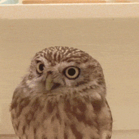 ��� �����?!