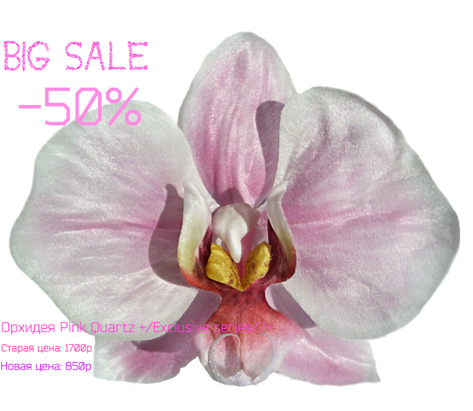 ������ ����������!!! ����� �� �����!!