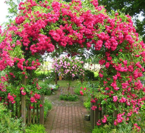 ������� ������! ������ 5 ����! ���� � ��� � 5� ����������� + ������������ ���������� (���������, ������, �������� � ��) ! �������������� ���� �� 5 ����