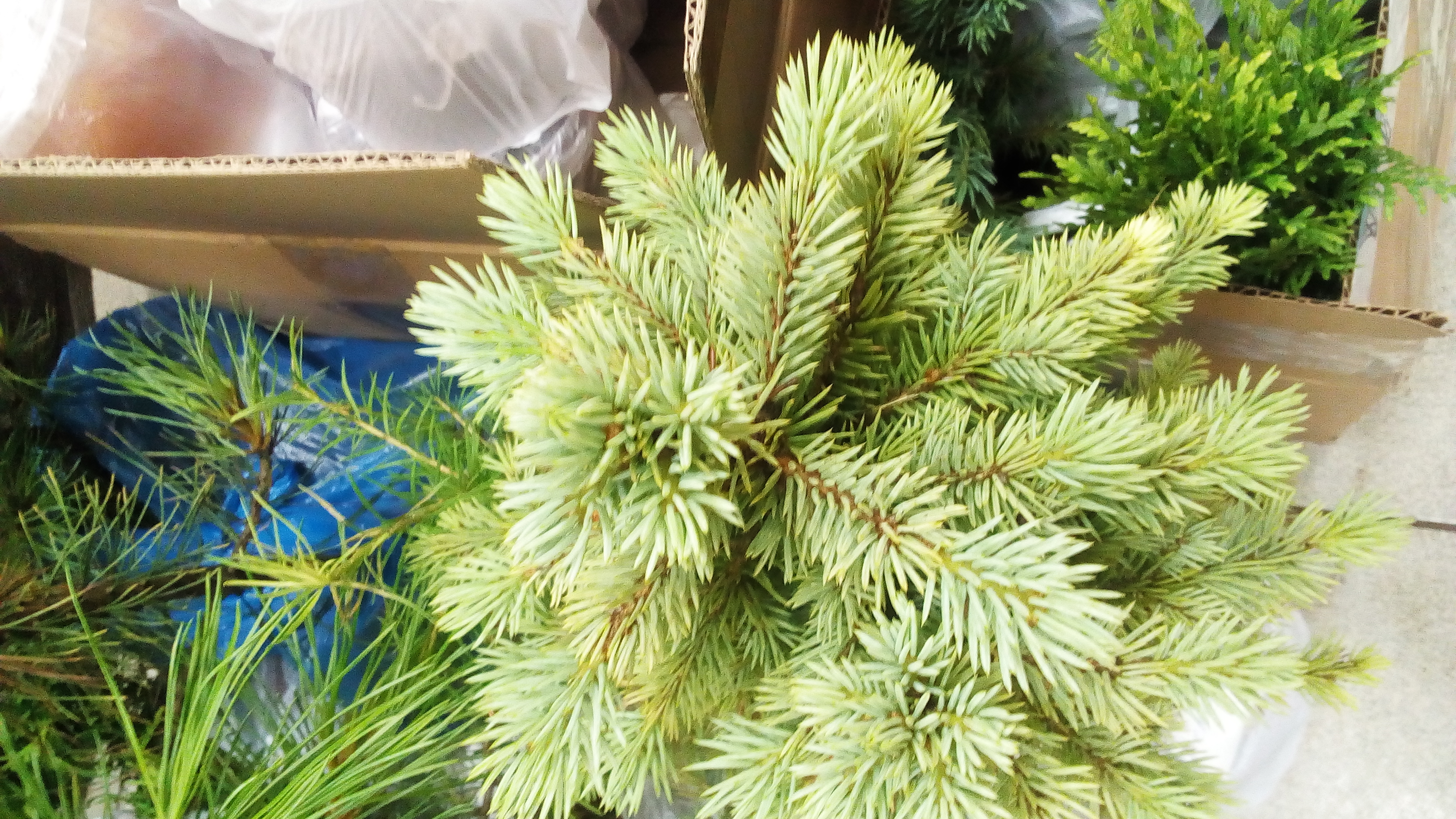 ��� ����� ���� ���������� ������� �������� �� ����� �������?)