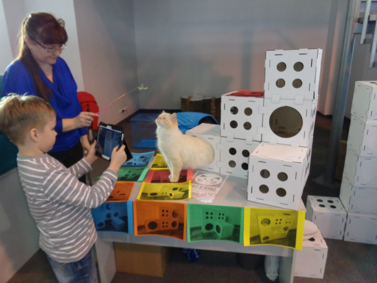 ����������� ����� ��� �����! ��������� �����-�������) 