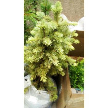 ����������! ���� �� 02.08. �������������� ���� �� ����� �������) ����, ���, ������� ���, �����, �����������, ���, �����... ������� � !!!������!!! - 2