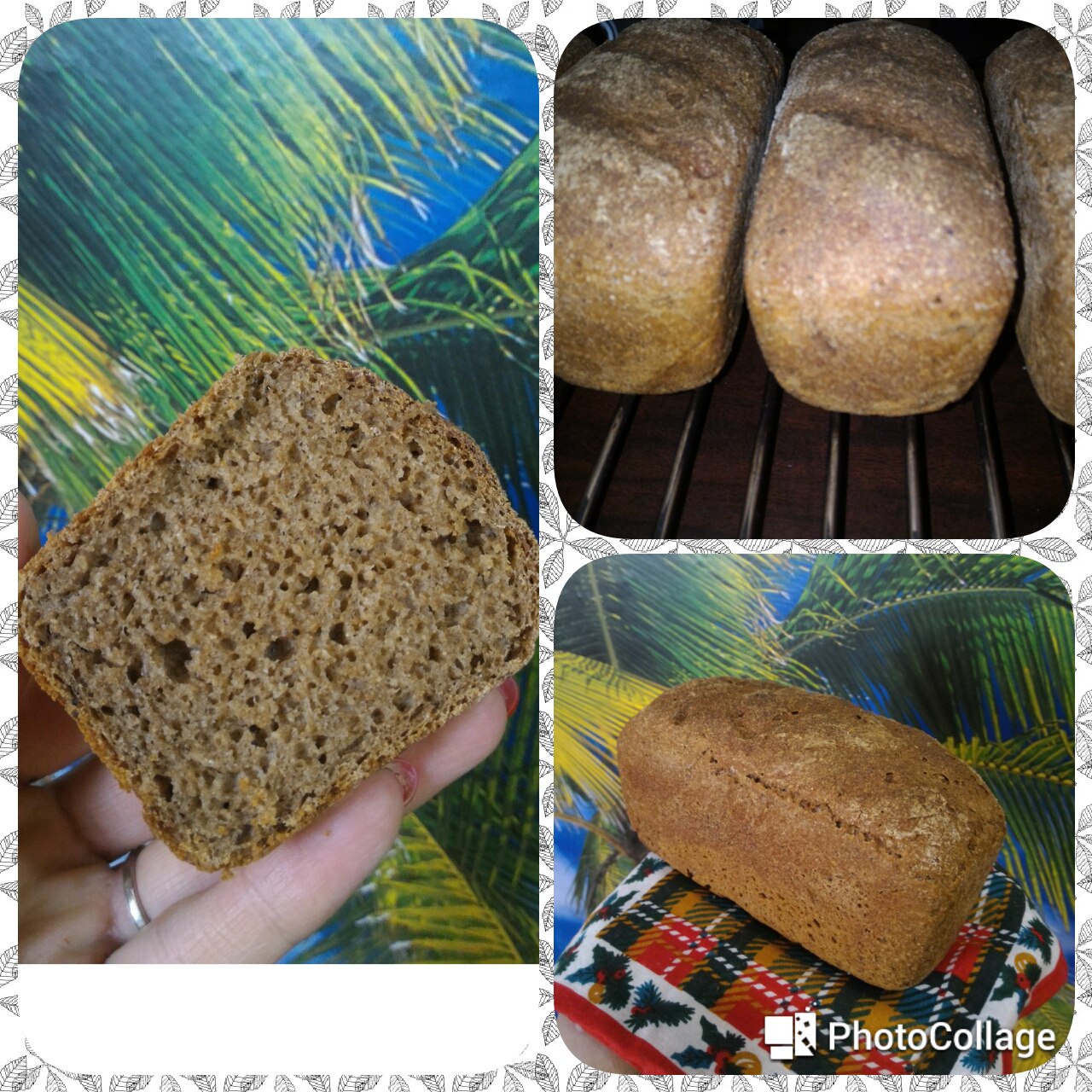 ��� ����� � ������� ����������� ���� �� ������ ��������! ����... ���������