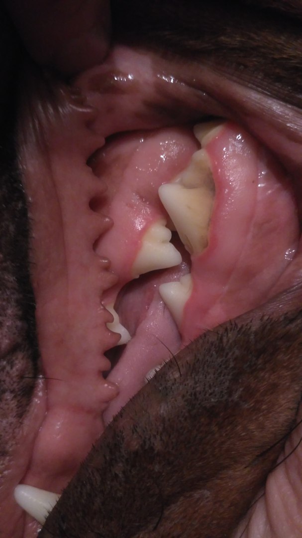 ������������ ������ �����