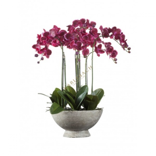 ��������� �������� ������������ ����� ��� ������ ���� 