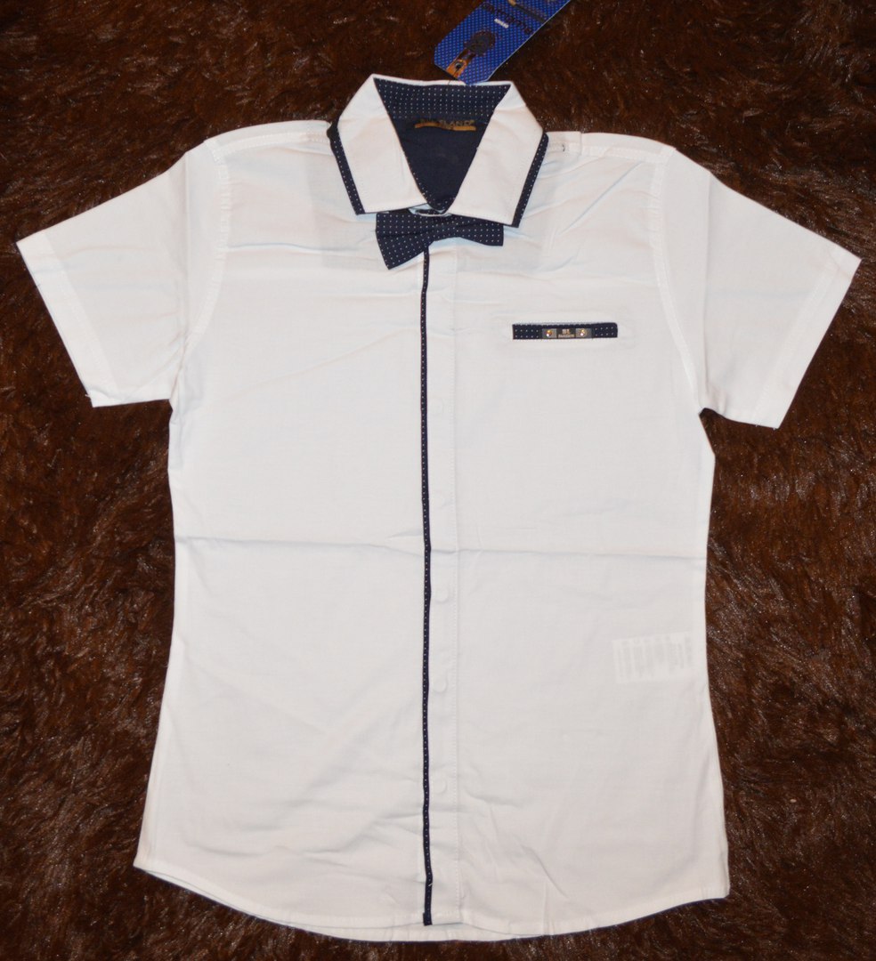 ���� �������. ������ ��������. ����������. ������� � ������������ ������. ��� �����. ����� 5