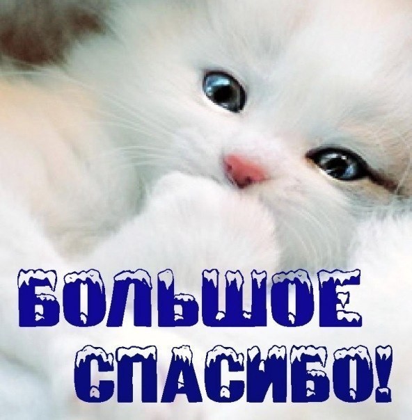 �������. ��������� �� ������� � ������ - 5. ������� ��������