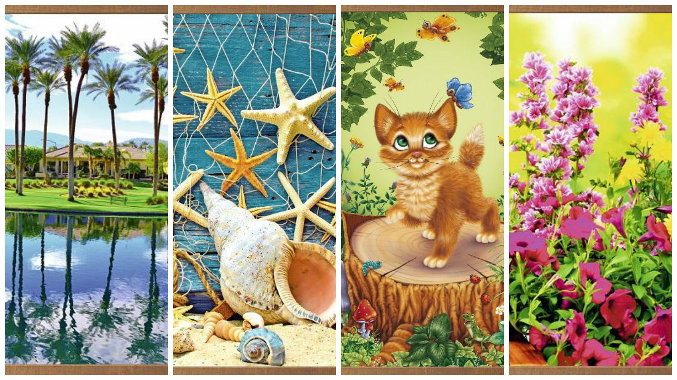 �� ��������� ������������� ��������� ����� ��������! ������� ��, ��� �������� � ���� ��������.