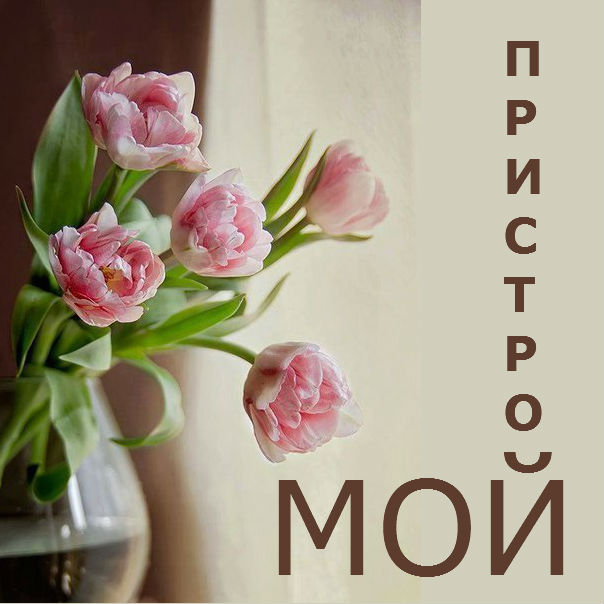 ��� � �������. ��������.  ����� �� 3500 � - ����� ��� ���