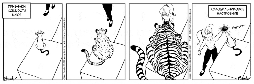 �������� ��������