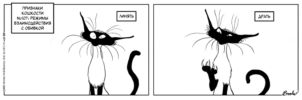 �������� ��������