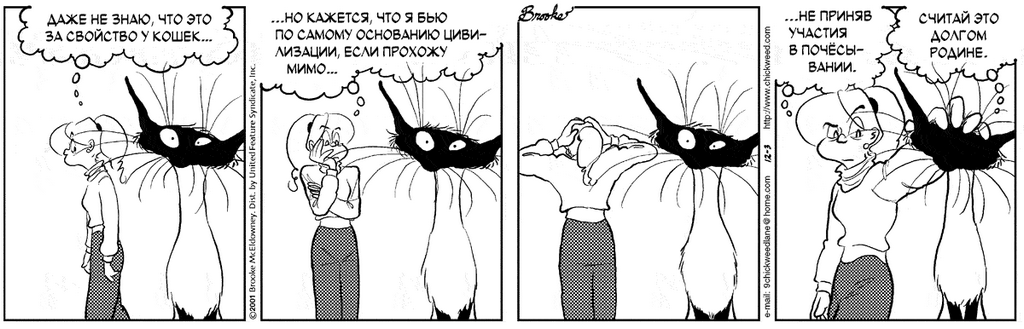 �������� ��������