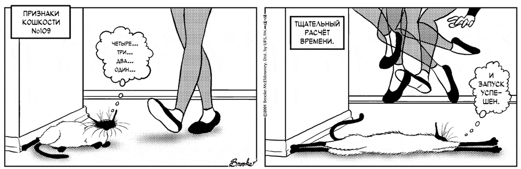 �������� ��������