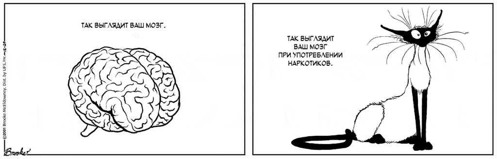 �������� ��������