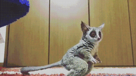 ����� ������� �� ���������, ��� ����������.