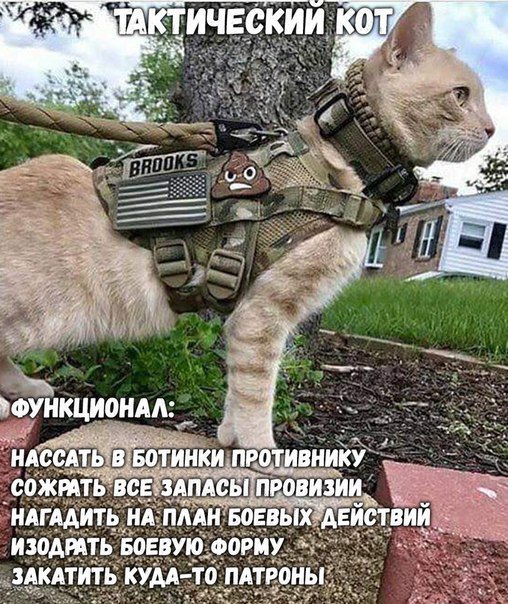 �����, �������� �� ���������