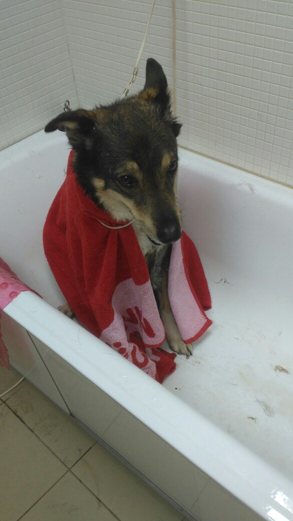 ���- ���������)  ���������� �� ������� 89056664494. ������ �������, �� 2-3 ���! 