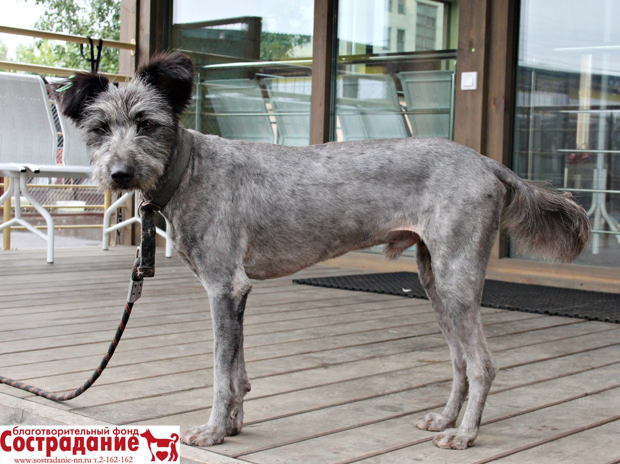 ������� ��������� ������ � �������