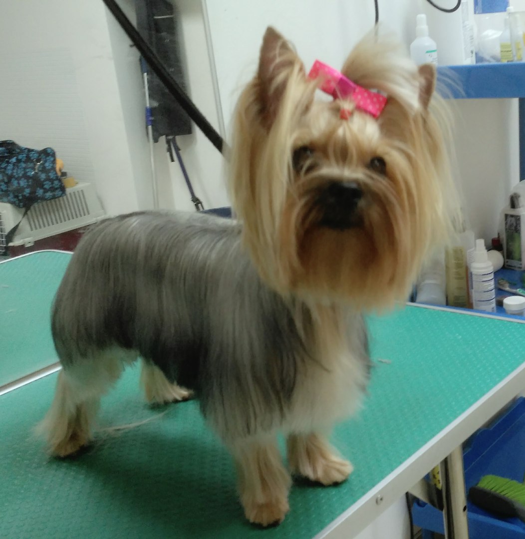 �������-���������!