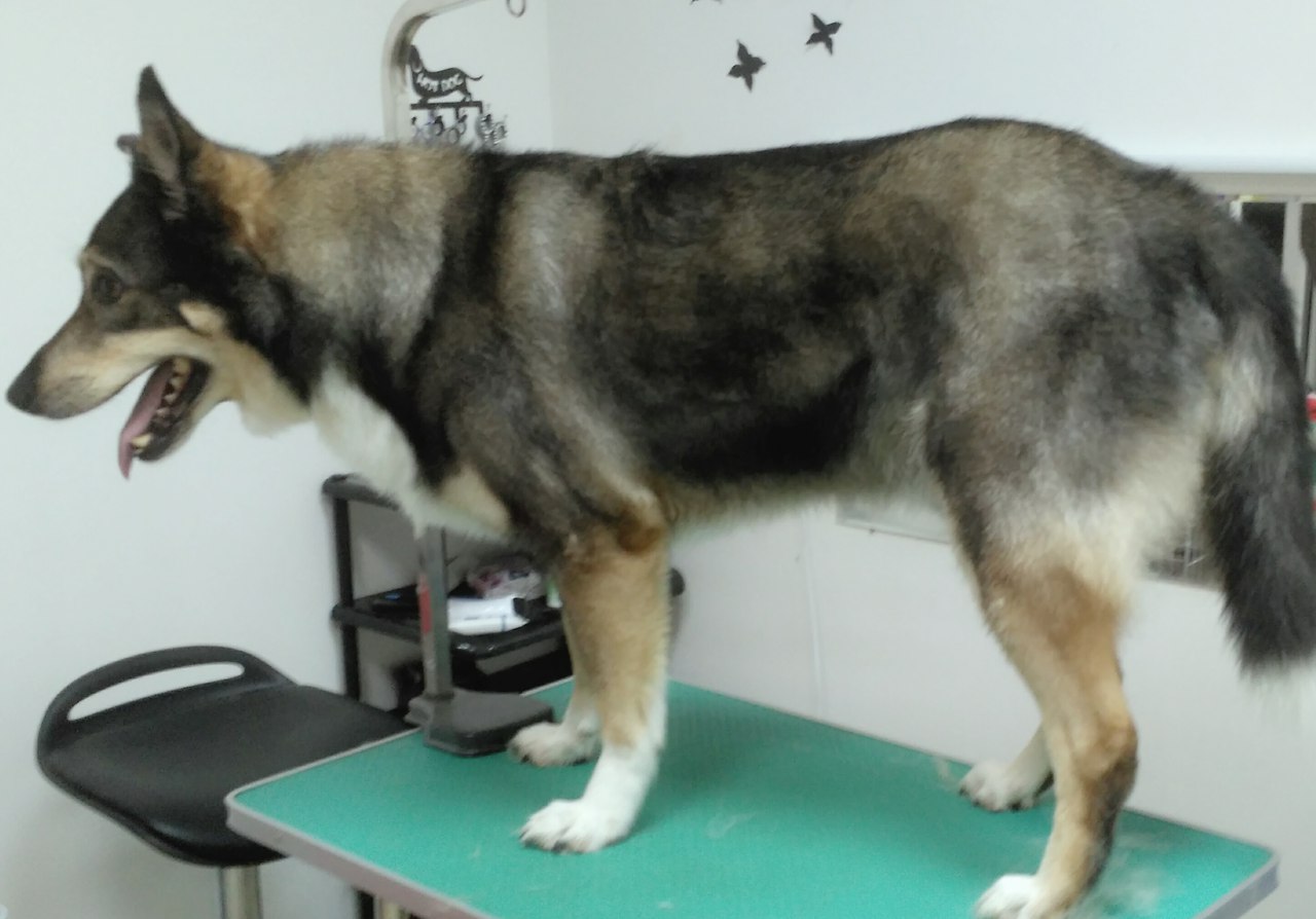 ������� ����� ����� �������