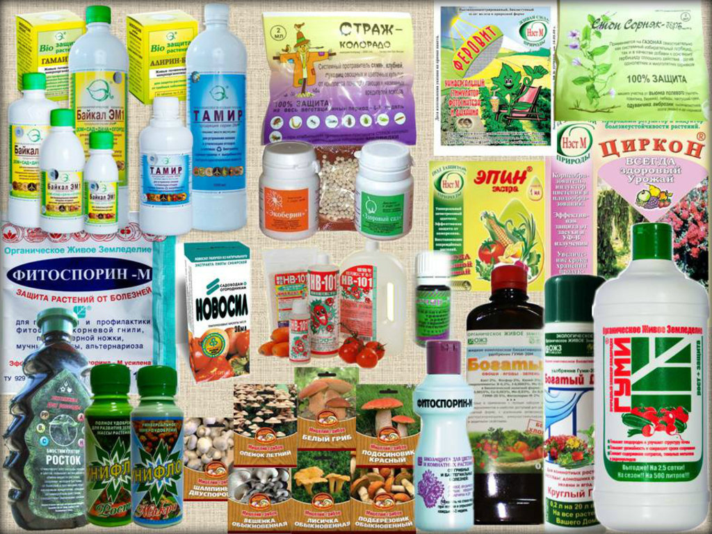 ���� �� 7.07. ����� ��� ���� 20.