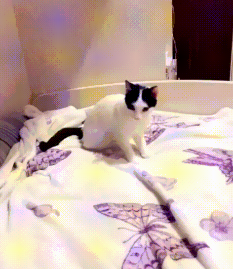 ����� ����� �����!