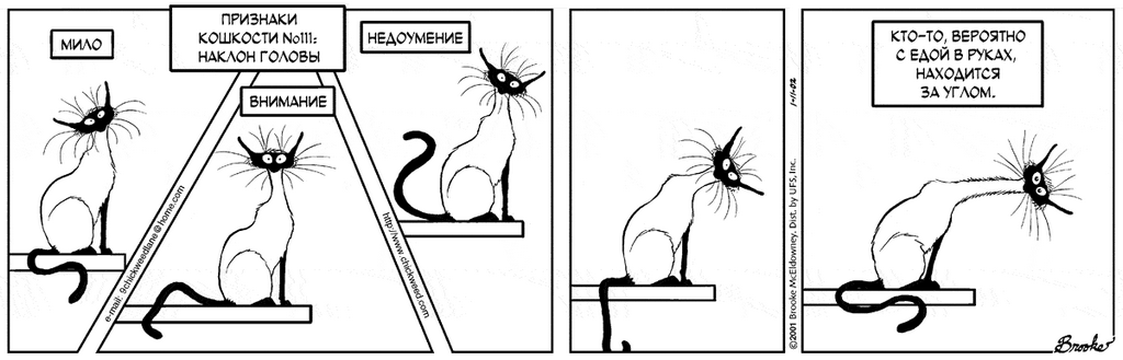 �������� ��������