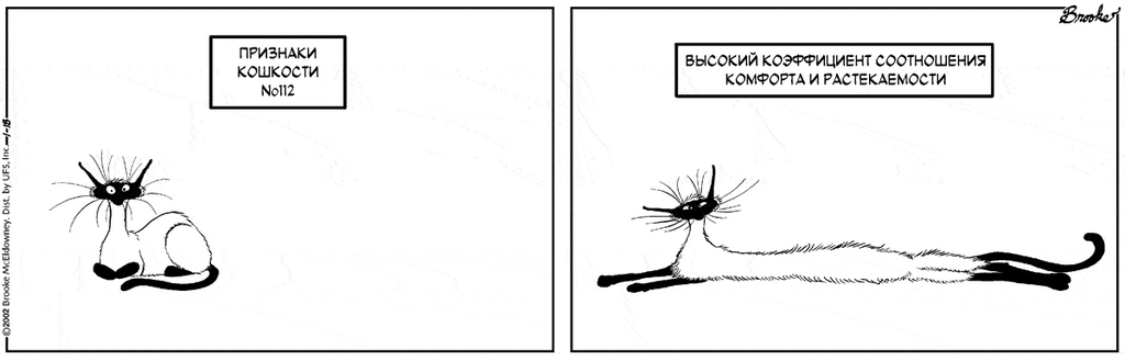 �������� ��������