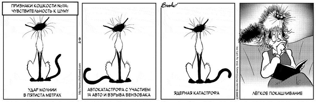 �������� ��������