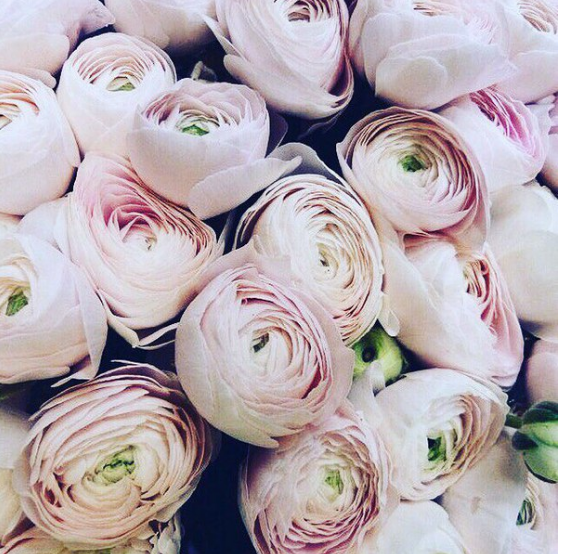 [b]���� �������. Karnache~va - ������������ ������ ������ luxury. ����������� ������� � ����������������. ����� ��������� ���� 2017. ���������� ���� ��������� - 50%! ���� 4.[/b]