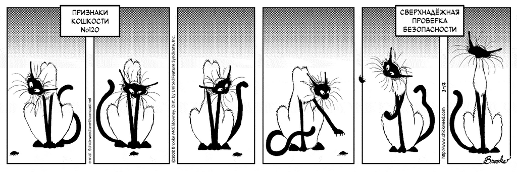 �������� ��������