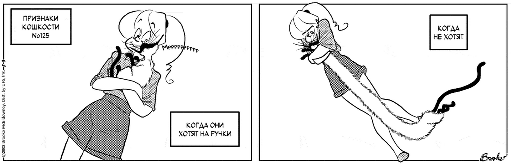 �������� ��������