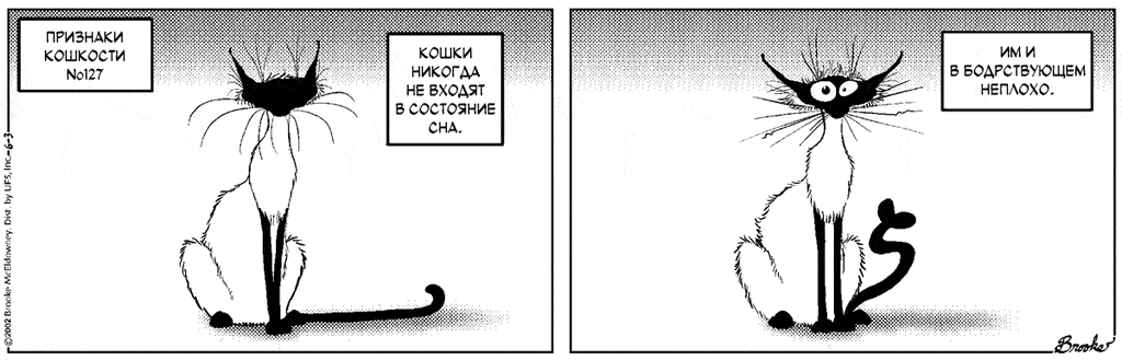 �������� ��������