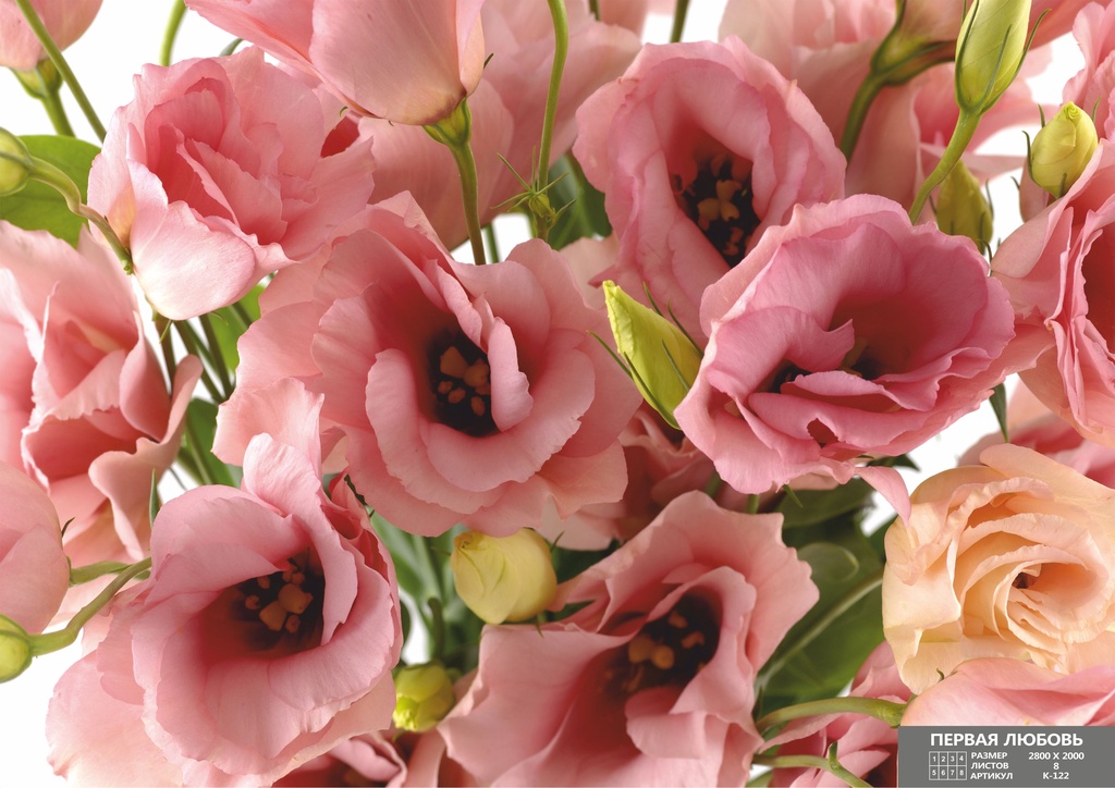 ���� �� 18.08. �������� - ������� ������ ����. �������� - ���������, ����, � ������������, ��� �����, � ��� �� ������� ����� ���������. ������������ ����!