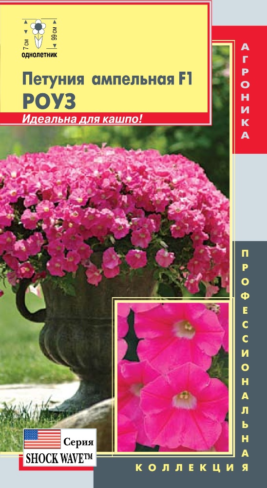 ���� �� 15.08. ���������� ������. ������ � ������ � ����� �������!-8. ���������-�������� ������ ������!