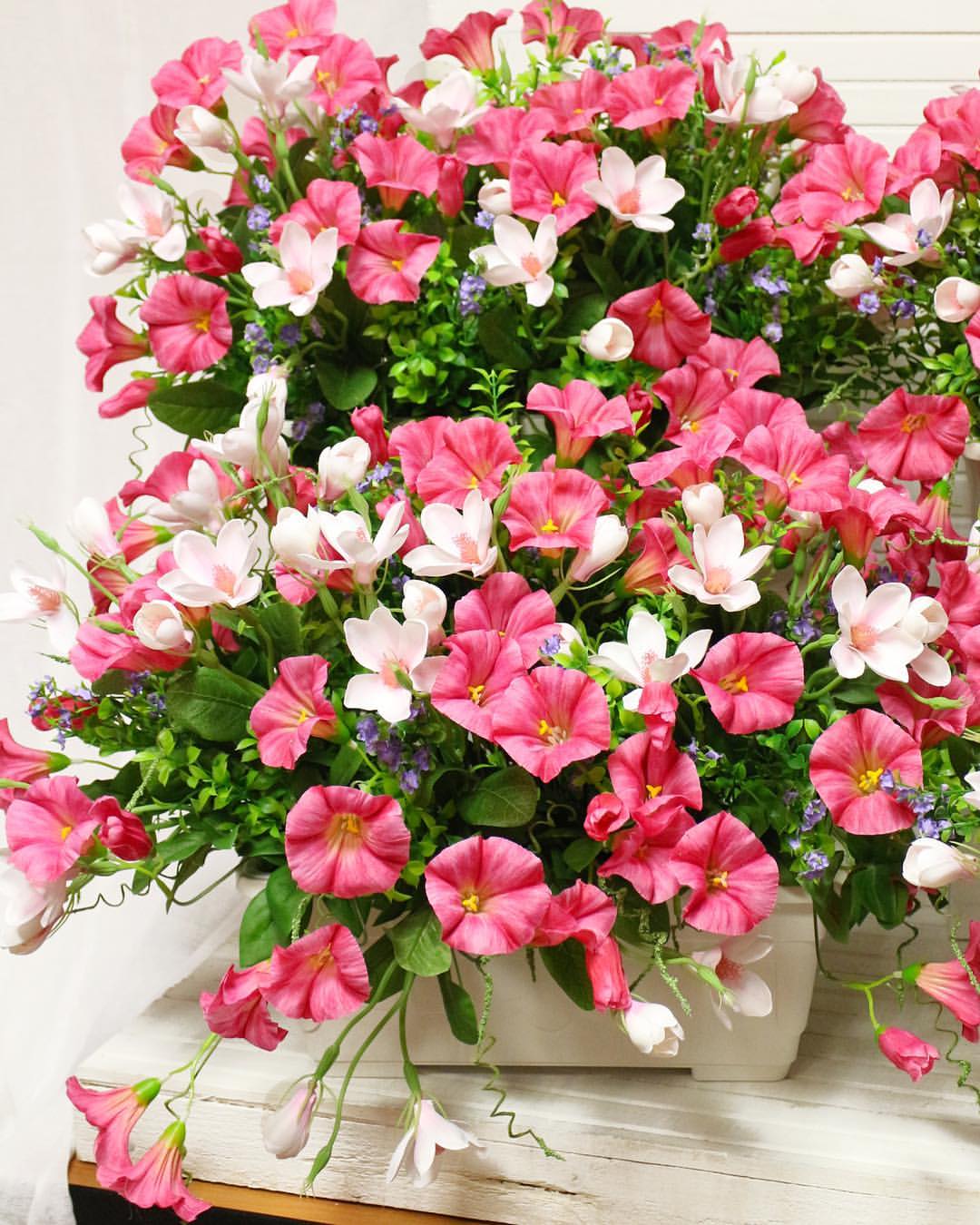 ���������� ������� ��� ����� ��� ���������� ������ �������, �������� ��������� ��� �����������! �������� ����� ����������!