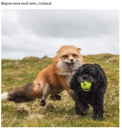 ������� ����