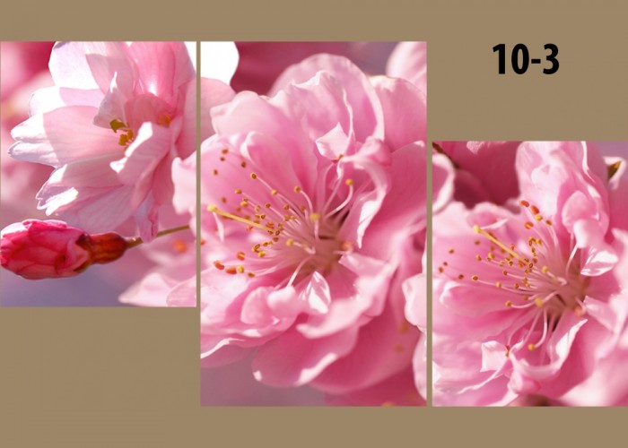 ������� ��� �����