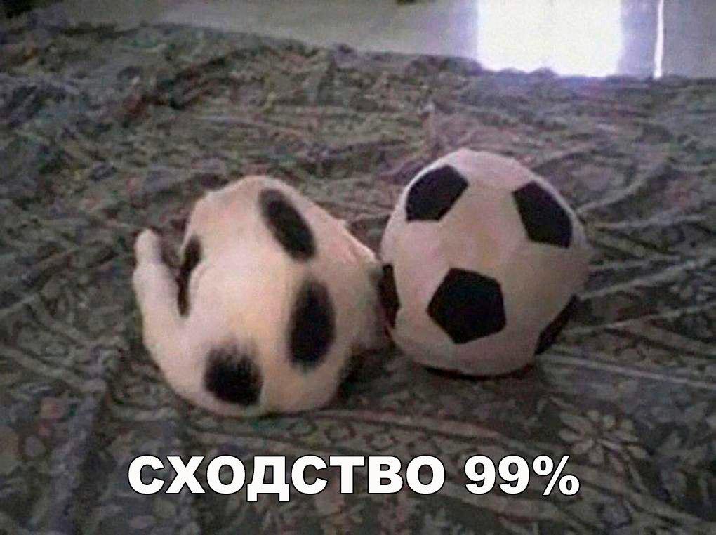 ������� ����