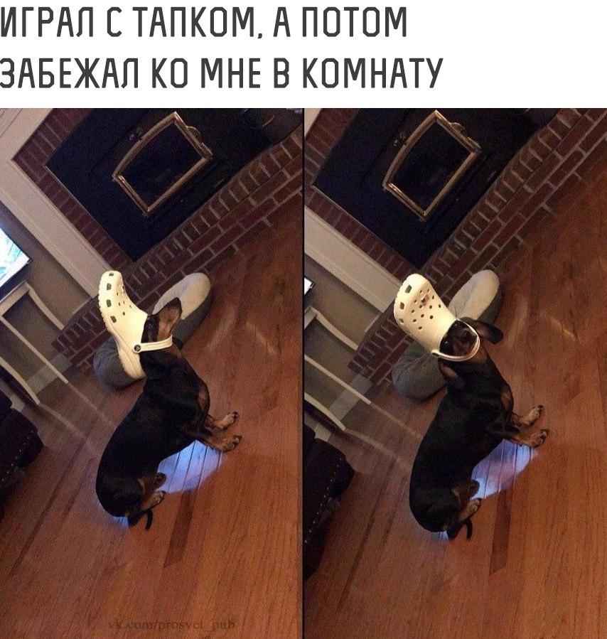 ������� ����