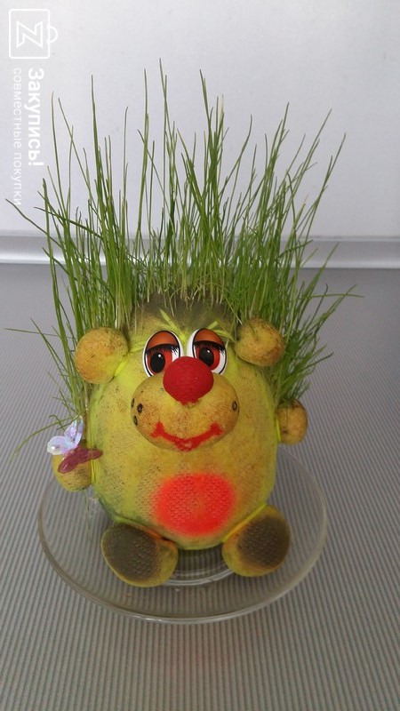 ��������� - ������������ ������� � �����, � ��������! ������!