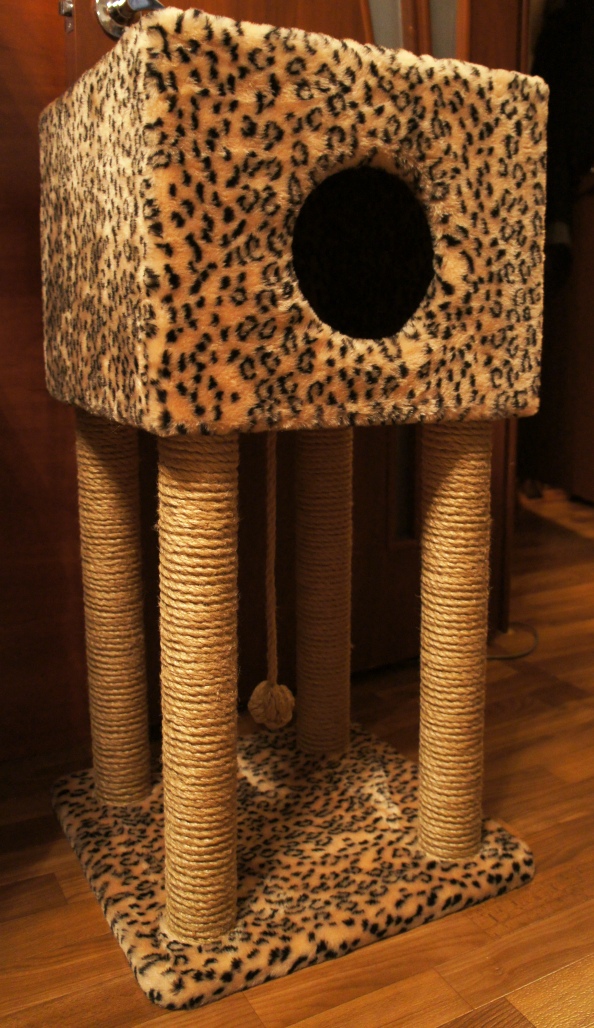 ������� �������)