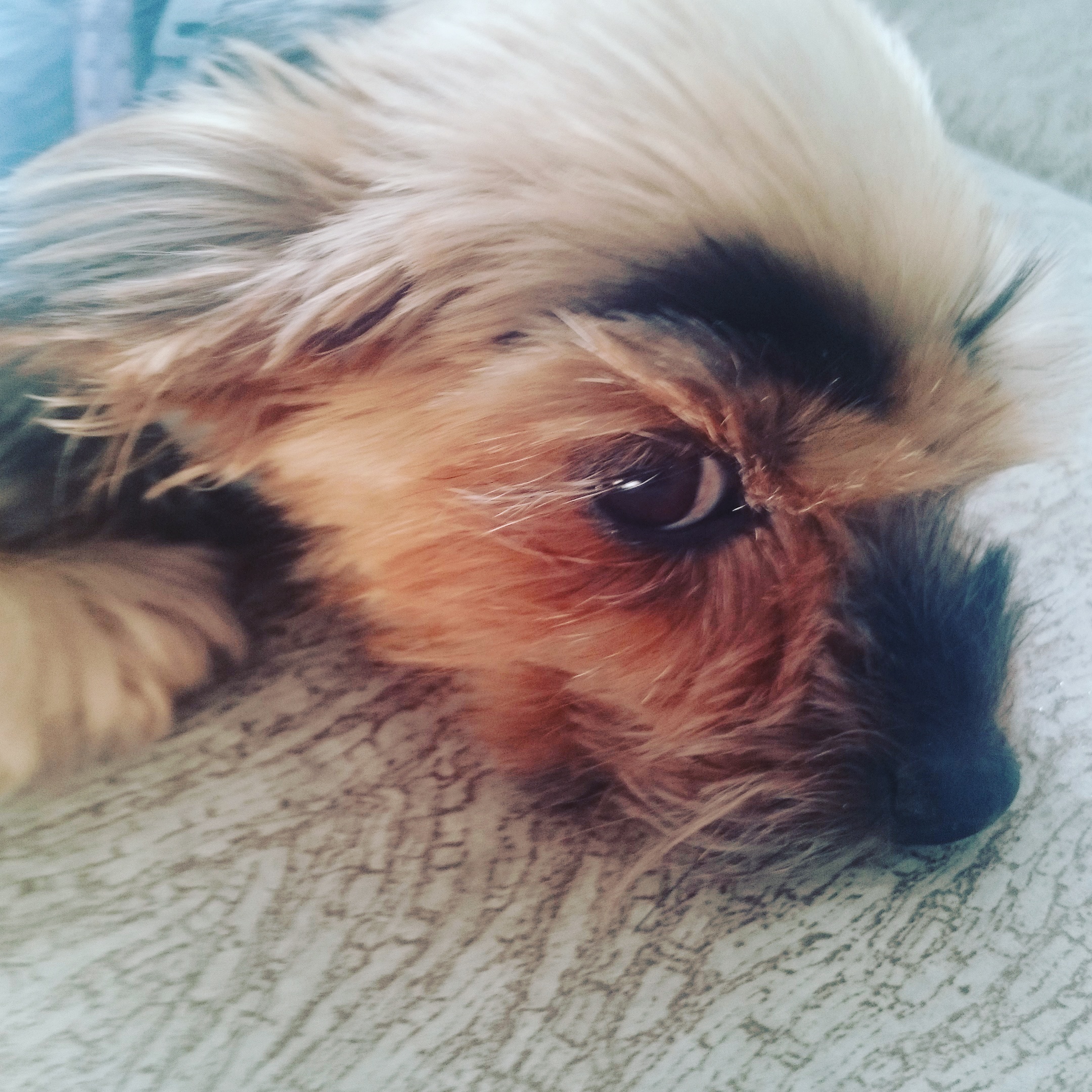 ������ � ����� � �������!