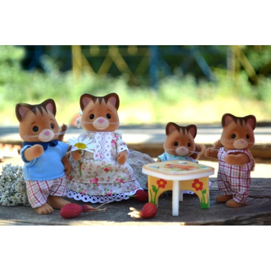 ���� �������. �������-�������. ���� Village Story - ������ Sylvanyan Families - ������� � ������ (��������� ��������) �������� �������� �� ������ ����!