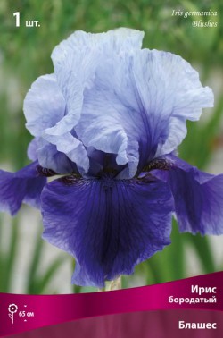 ���� ������� �� 19.08.--��������-- ���o��r�� �o�ck --- ����� 2017 : �����,�������� ,�����, ���������,�����, ����� � ������ ������. � ��� �� ������� ������.