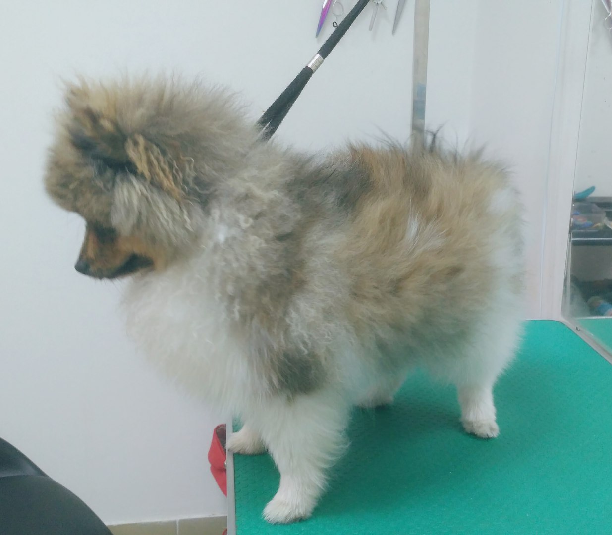 ����) � ��� ������ �������, ���� �� ����)  ������ �������!!!