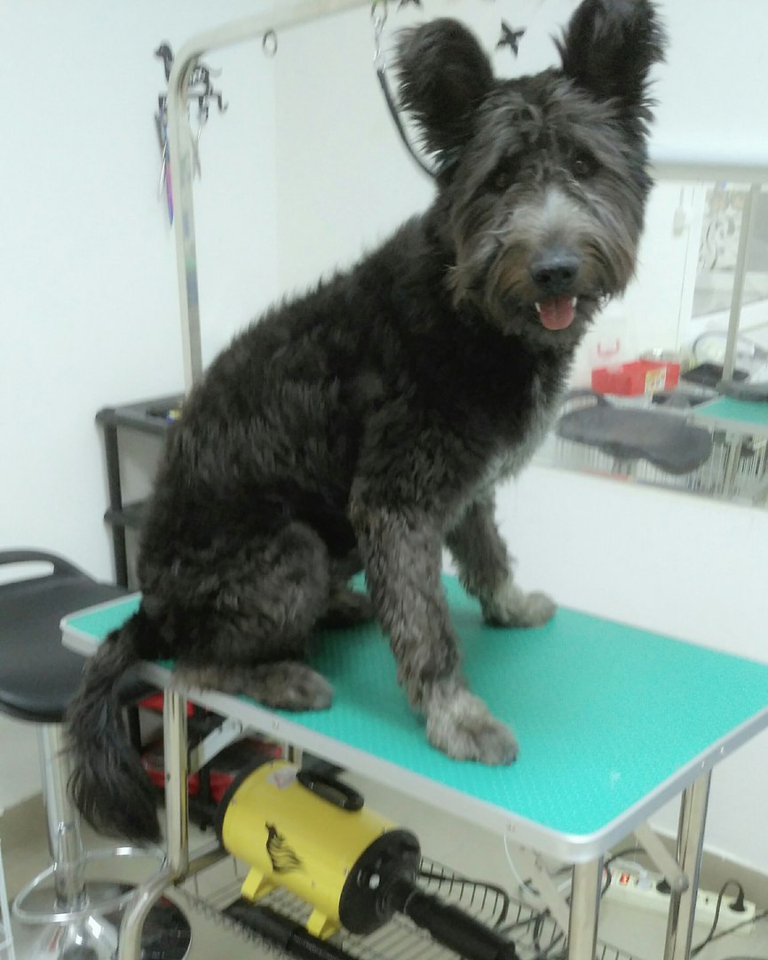 ���������)  ������ - ����� ������ �� ������...