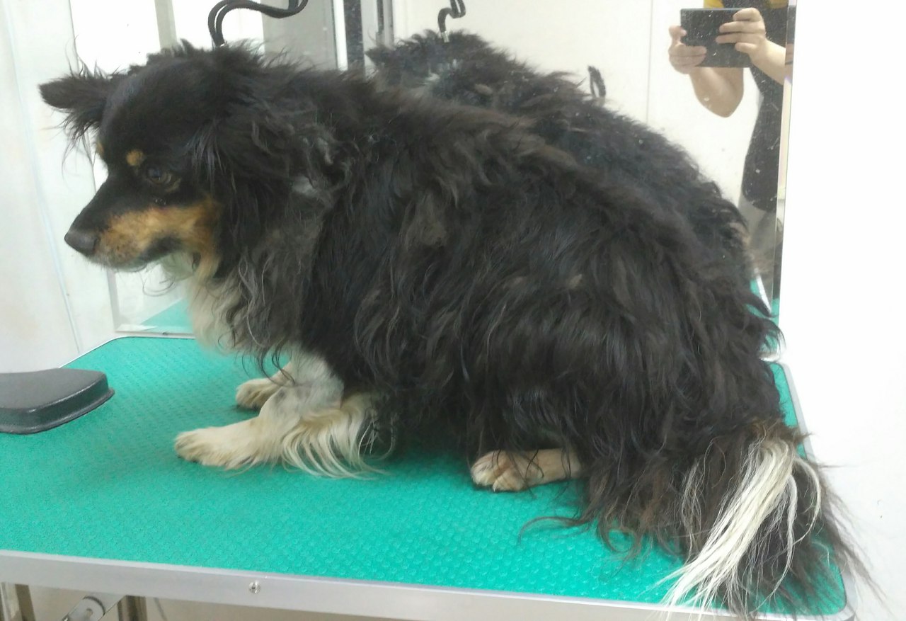 ������ �� ����� ����) 