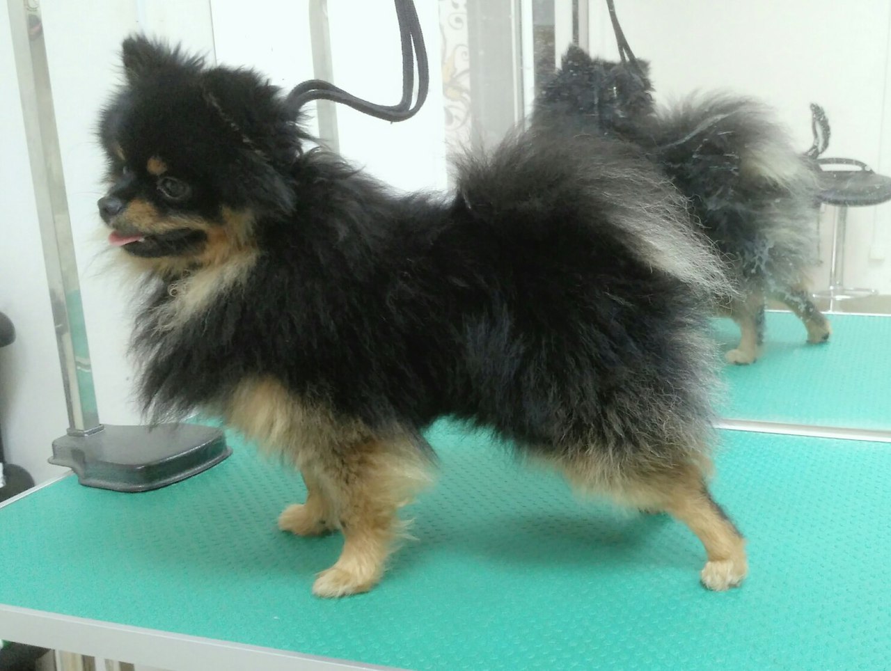 ������ ����)))